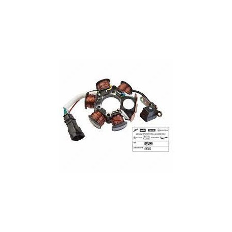 Stator Piaggio 50 2T (Catalizado) 639865