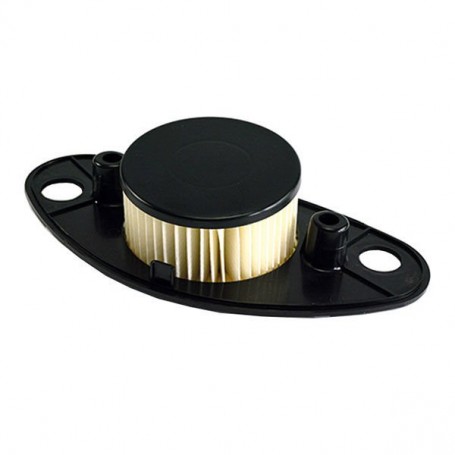 Filtro Aire Suzuki VL Intruder  800 13780-41F20-000