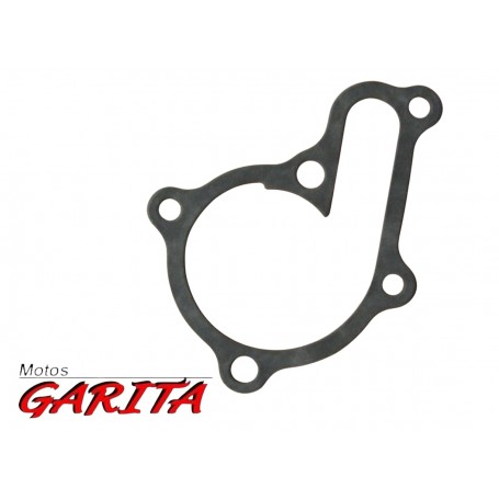 Junta Tapa Bomba De Agua Kymco Superdink 125 19229-LFA7-E00