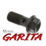 Tornillo Racord Freno Kymco 90145-MS9-60M1