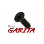 Tornillo Tapa Bomba Freno Kymco 93600-04012-1G