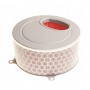 Filtro Aire Daelim Daystar 125 17213-BA1-0000