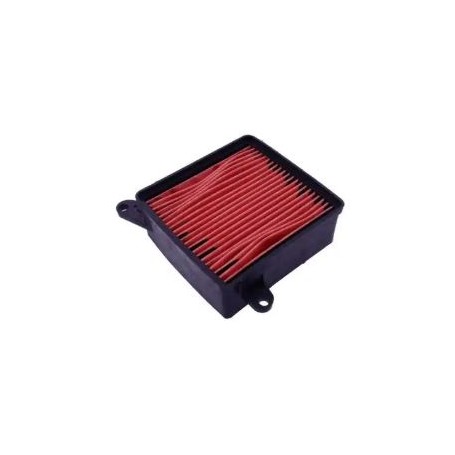 Filtro Aire Daelim Besbi 125 17210SA50000