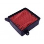 Filtro Aire Daelim Besbi 125 17210SA50000