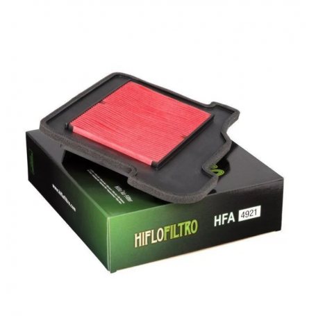 Filtro de Aire Hiflofiltro HFA4921