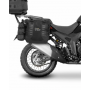 Fijacion Shad 4P Morbidelli T1002VX M0TV144P
