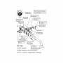 SILENCIOSO LEOVINCE SBK LV ONE EVO TRIUMPH  TIGER 800 XC/XCX/XR/XRX CARBONO S8492E