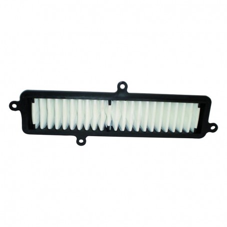 Filtro aire Champion Suzuki Burgman (HFA3103)