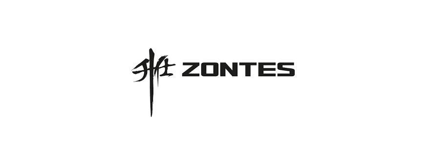 ZONTES